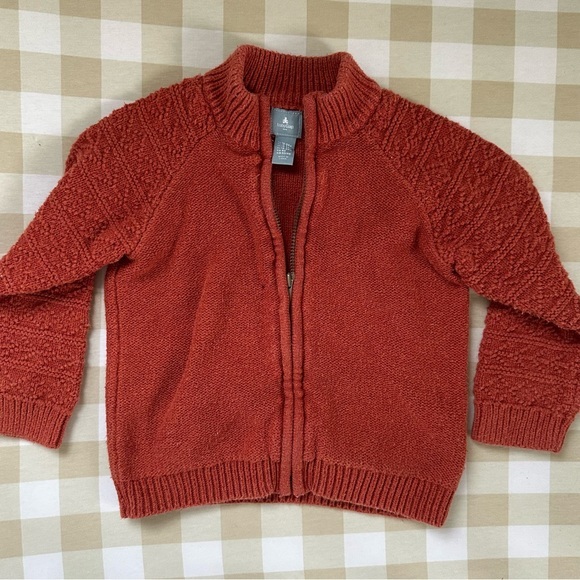 GAP Other - GAP Baby Burnt Orange Knitted Fall Sweater Girls 18-24 Months